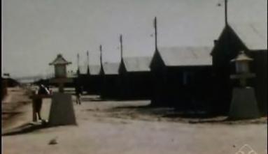 Lloyd Evans Collection